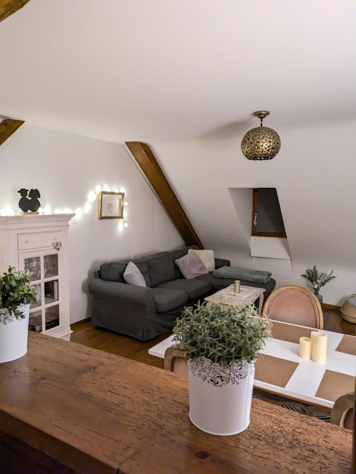 Les Toits De Turckheim Apartman Kültér fotó